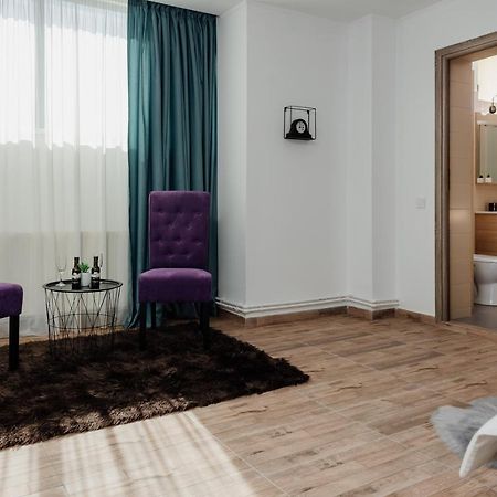 Scandinavia Residence Piatra Neamţ エクステリア 写真